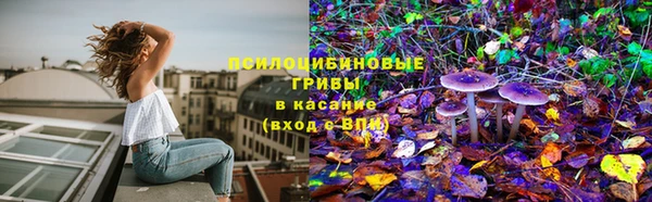 дживик Медногорск