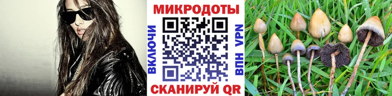 Псилоцибиновые грибы мицелий  гидра вход  Новый Уренгой 