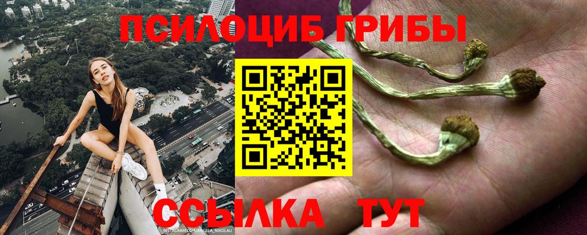 Галлюциногенные грибы GOLDEN TEACHER Новый Уренгой